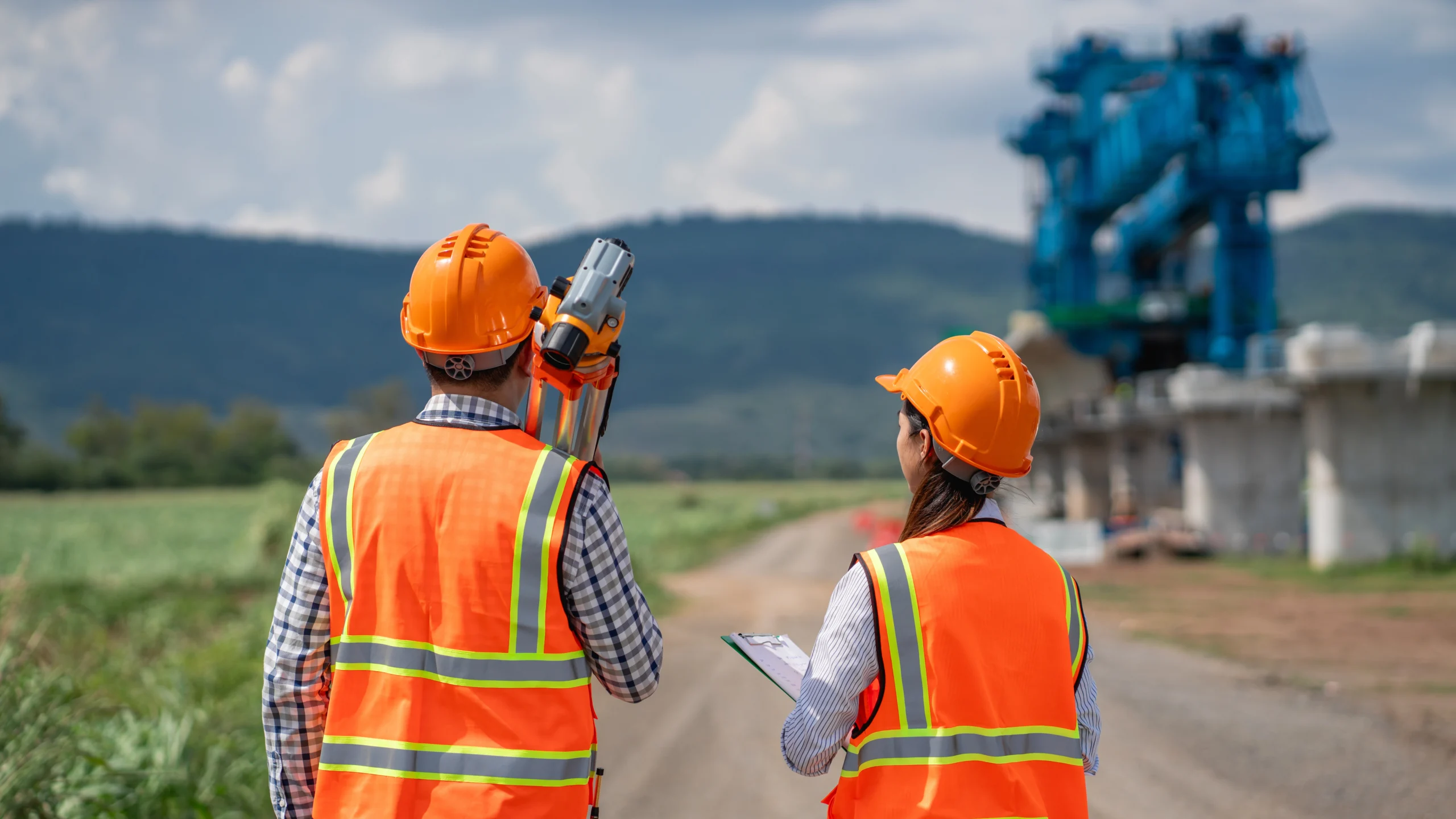 Surveys & Audit