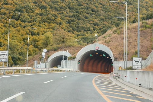 Feasibility & Procurement Strategy for Subaqueous Mega-Tunnel